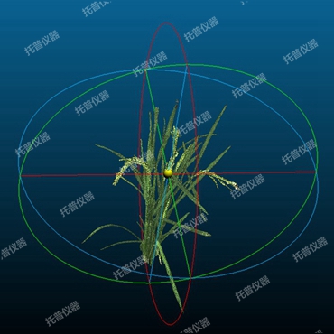 盆栽植物三维数字表型采集分析系统