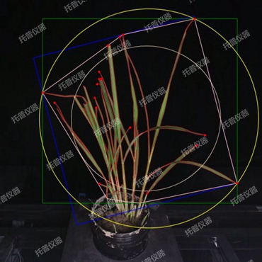 温室型高通量植物表型采集分析平台