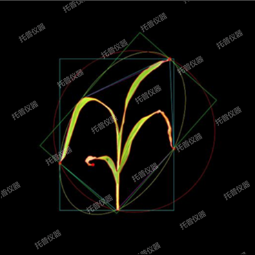 盆栽植物二维数字表型采集分析系统